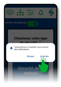 Menu « Autorisations » du site sayseeshow.io, avec les réglages caméra et micro