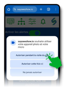 Écran d’installation de l’application sayseeshow.io affichant les conditions d'utilisation