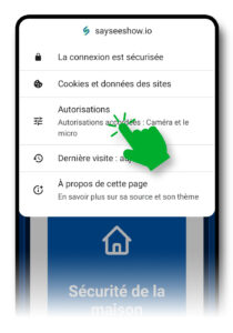 Menu des paramètres du navigateur ouvert sur le site sayseeshow.io