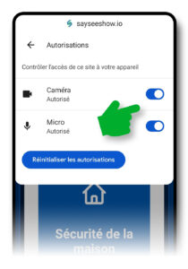 Boutons d'autorisation de la caméra et du micro activés sur la page sayseeshow.io