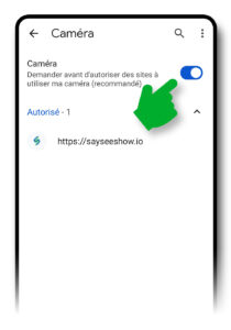 Options « Demander d'abord » cochées pour le micro et les notifications