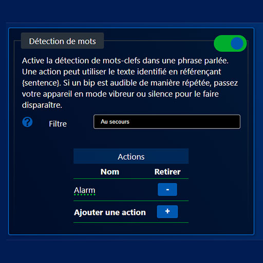 Écran de l'application : la détection de mots, avec un filtre sur la phrase attendue